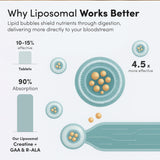 Aurora creatina liposómica de Vida Lifescience, fórmula con GAA y R-ALA para apoyo muscular.