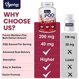 Vigorizar Pycnogeno con PQQ, 40 mg: antioxidante clave en la fórmula.
