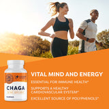 Vimergy Chaga: etiqueta legible destacando antioxidantes e inmunidad.