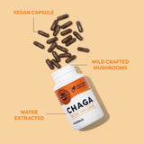 Vimergy Chaga cápsulas: cápsulas en la mano para uso diario con posible apoyo inmunitario.