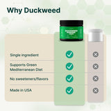 VINATURA Polvo de lenteja de agua, espolvorear en ensaladas para fibra y micronutrientes.