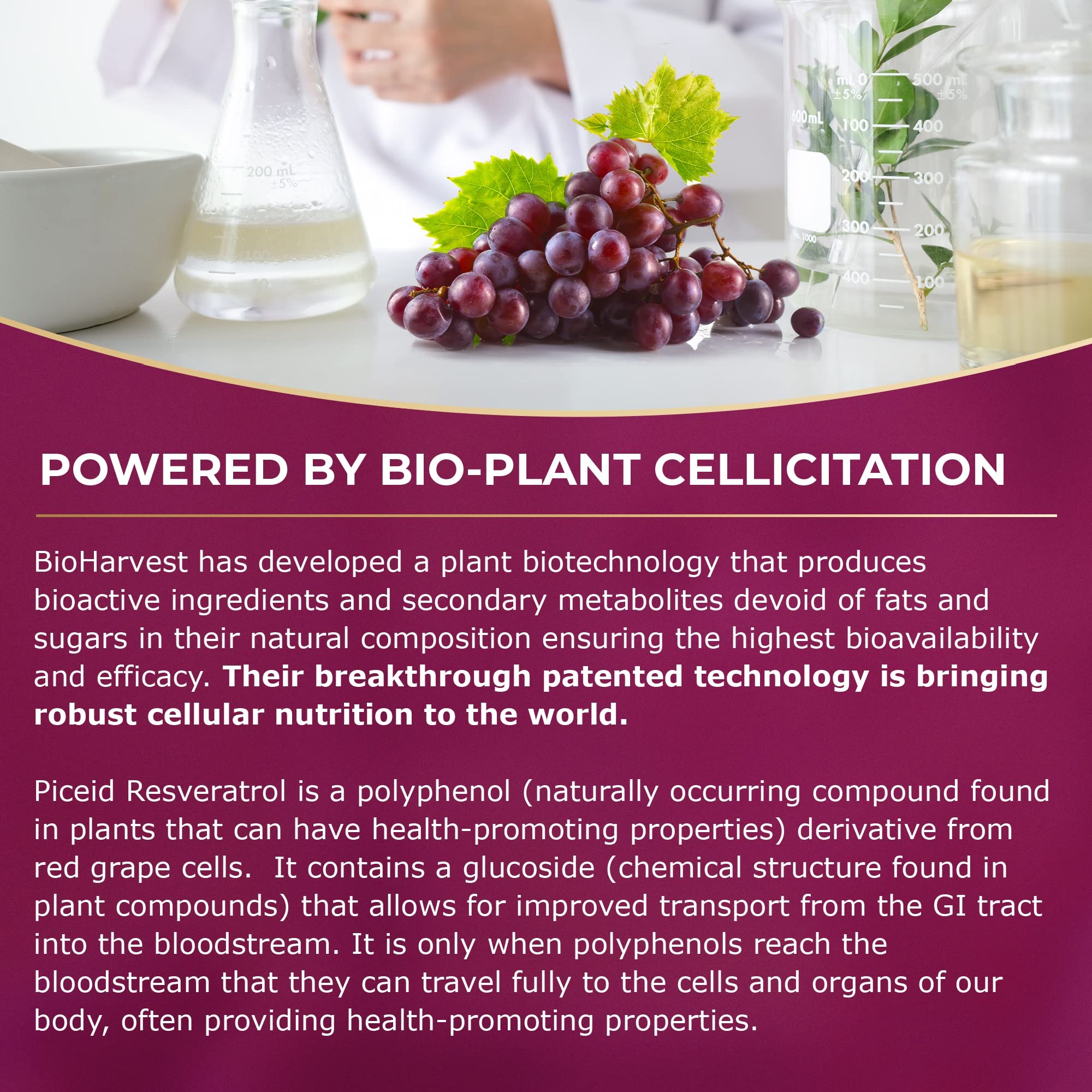 VINIA Piceid Resveratrol: imagen de estudio científico para respaldo.