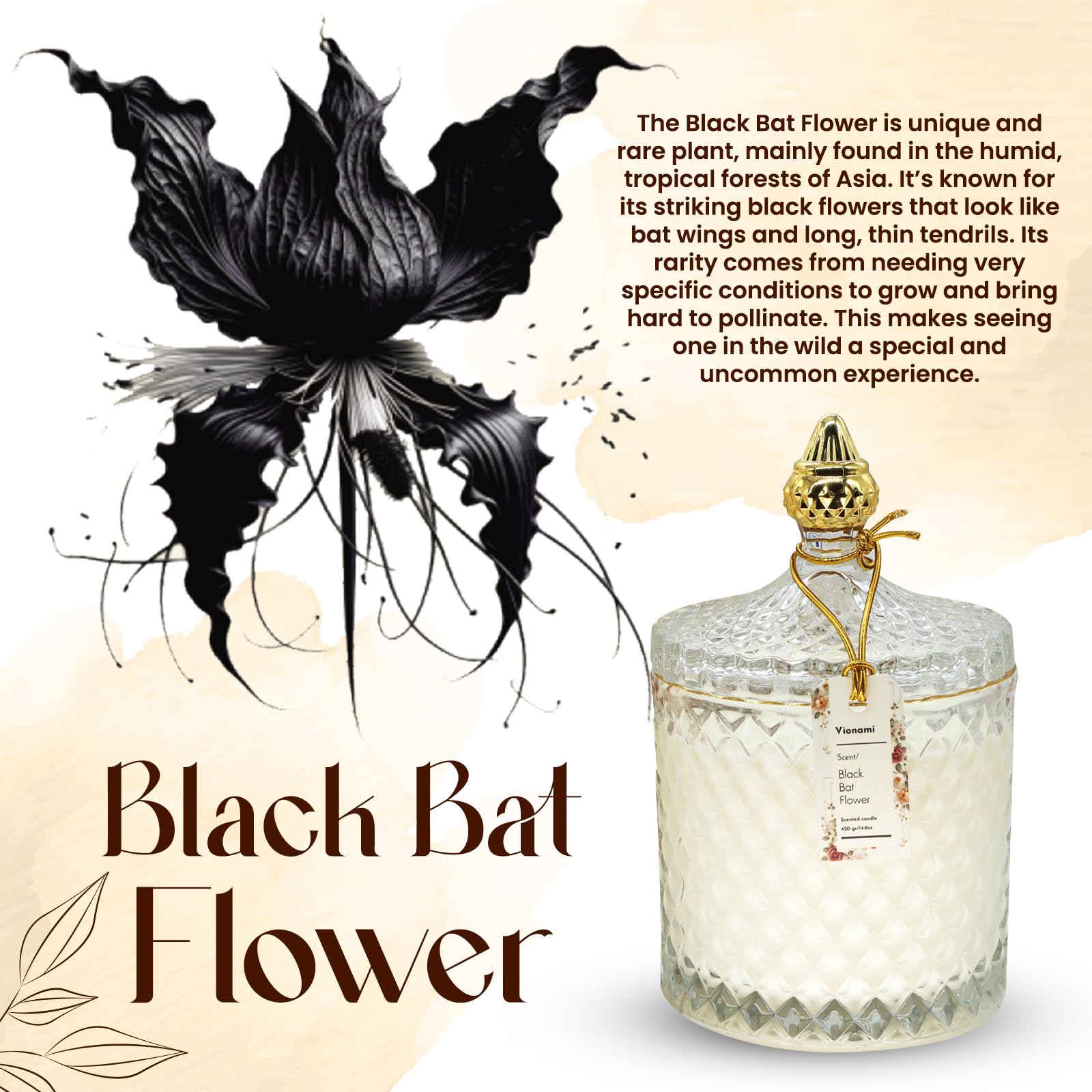 VIONAMI vela aromas flor rara, ideal para crear atmósfera única.