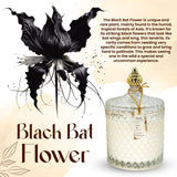 VIONAMI vela aromas flor rara, ideal para crear atmósfera única.