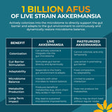 Vita Bloom Labs Akkermansia: dosis diaria para rutina de bienestar digestivo.