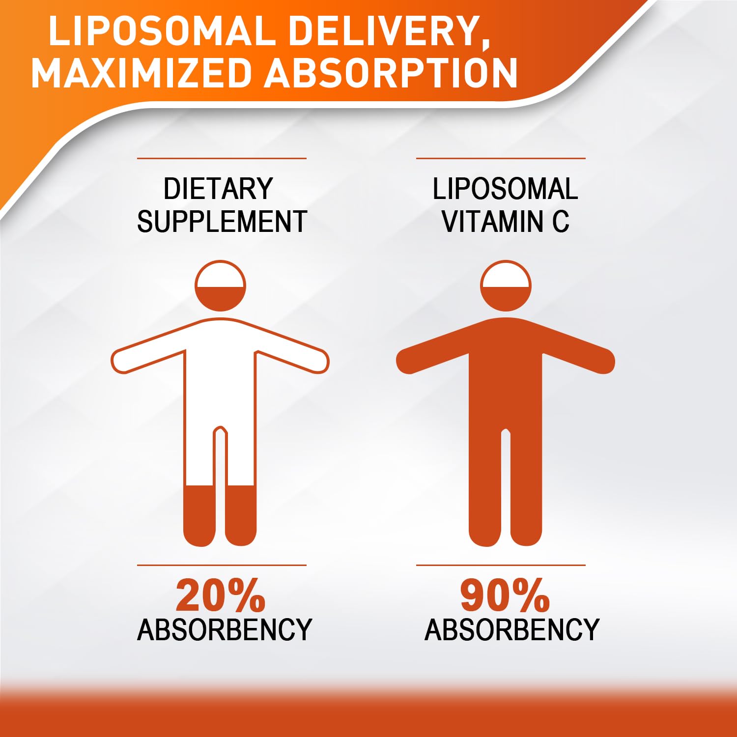 Gotero de 2 ml para dosis diaria de Vitablosom Liposomal C