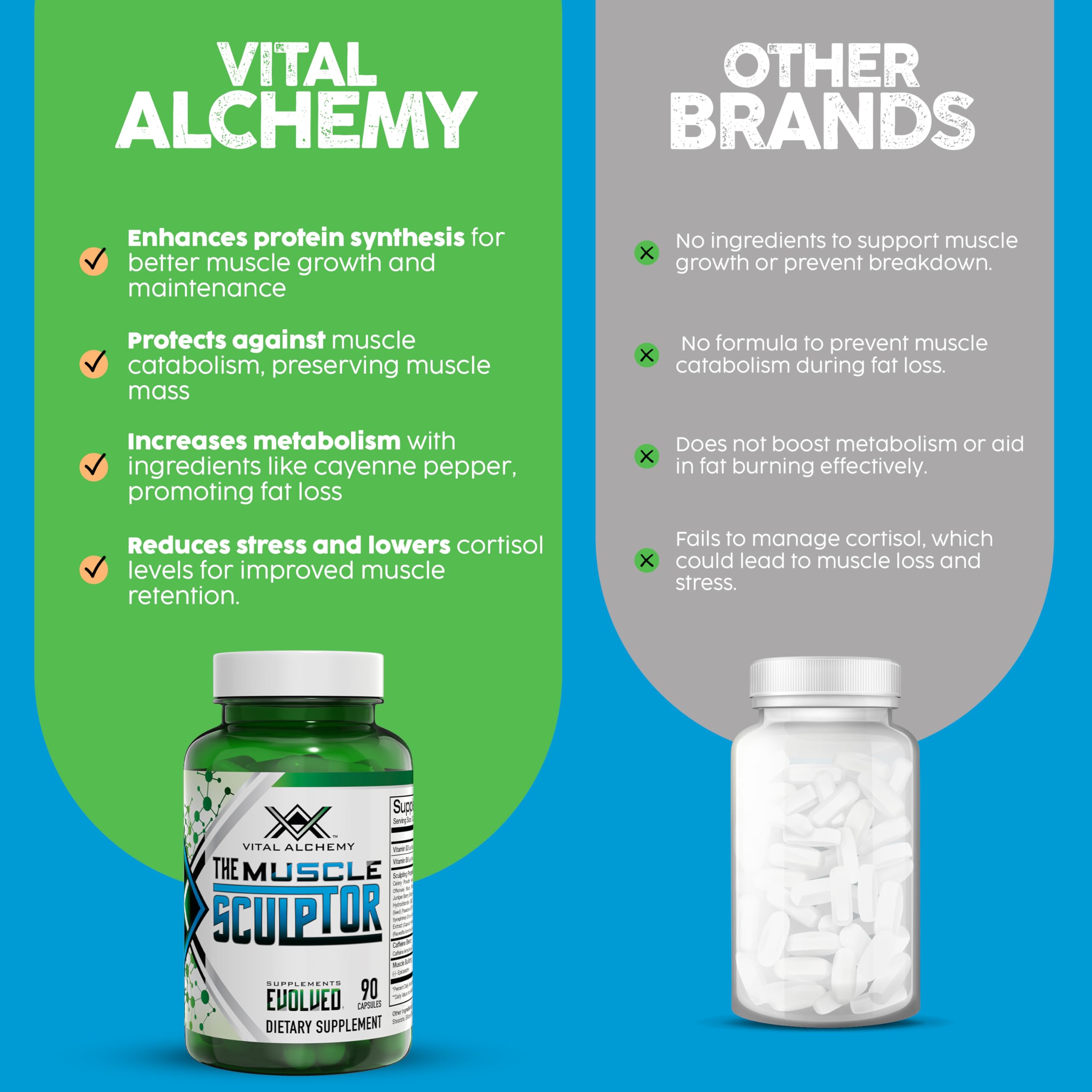 Vital Alchemy Muscle Sculptor, señalando energía y concentración para entrenos intensos