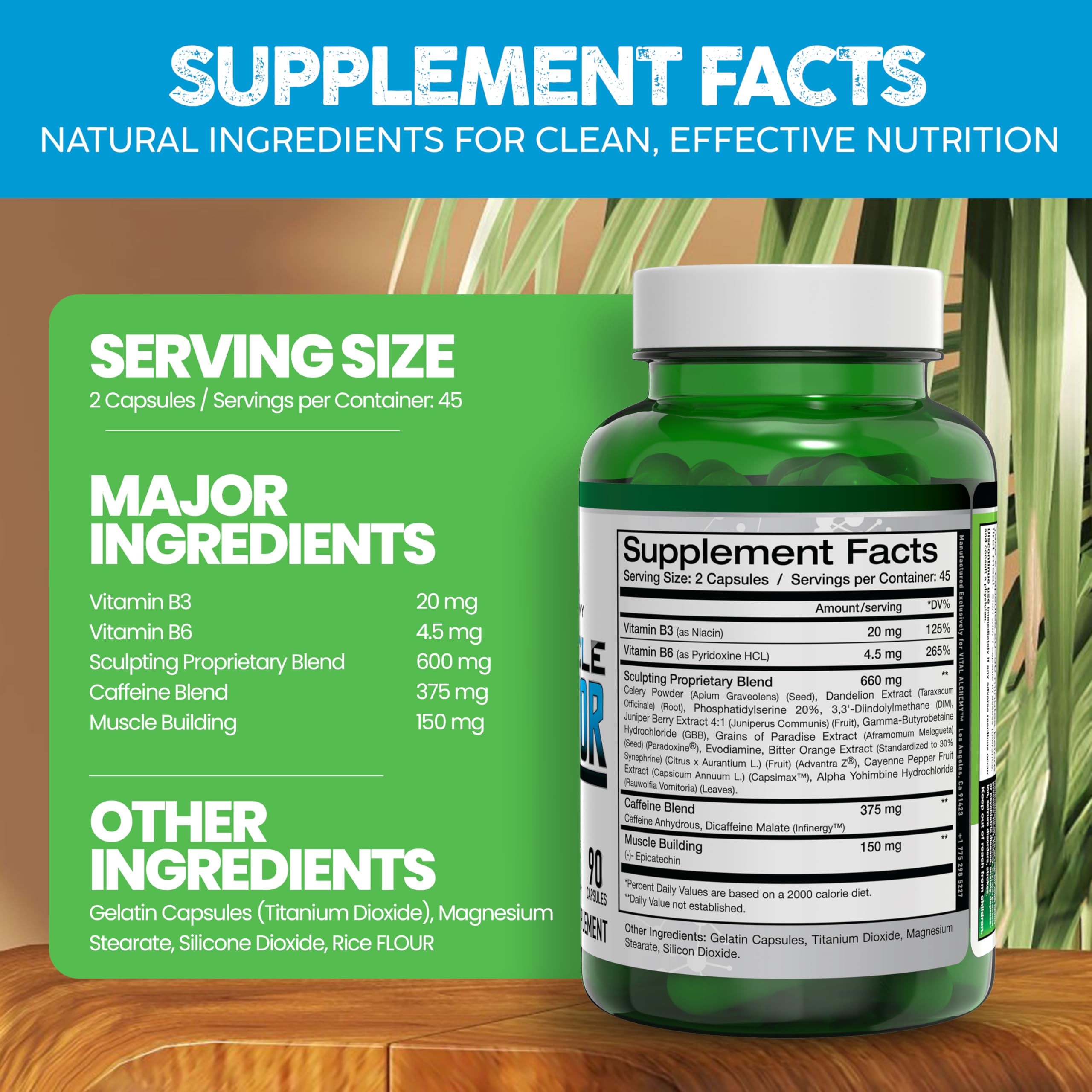 Vital Alchemy Muscle Sculptor, ingredientes clave para energía y recuperación