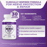 Vital Nutritive Fórmula Avanzada: mezcla de ingredientes para salud neural