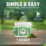 Vital Nutritive Vital Greens: adaptógenos para manejo del estrés y energía sostenida.