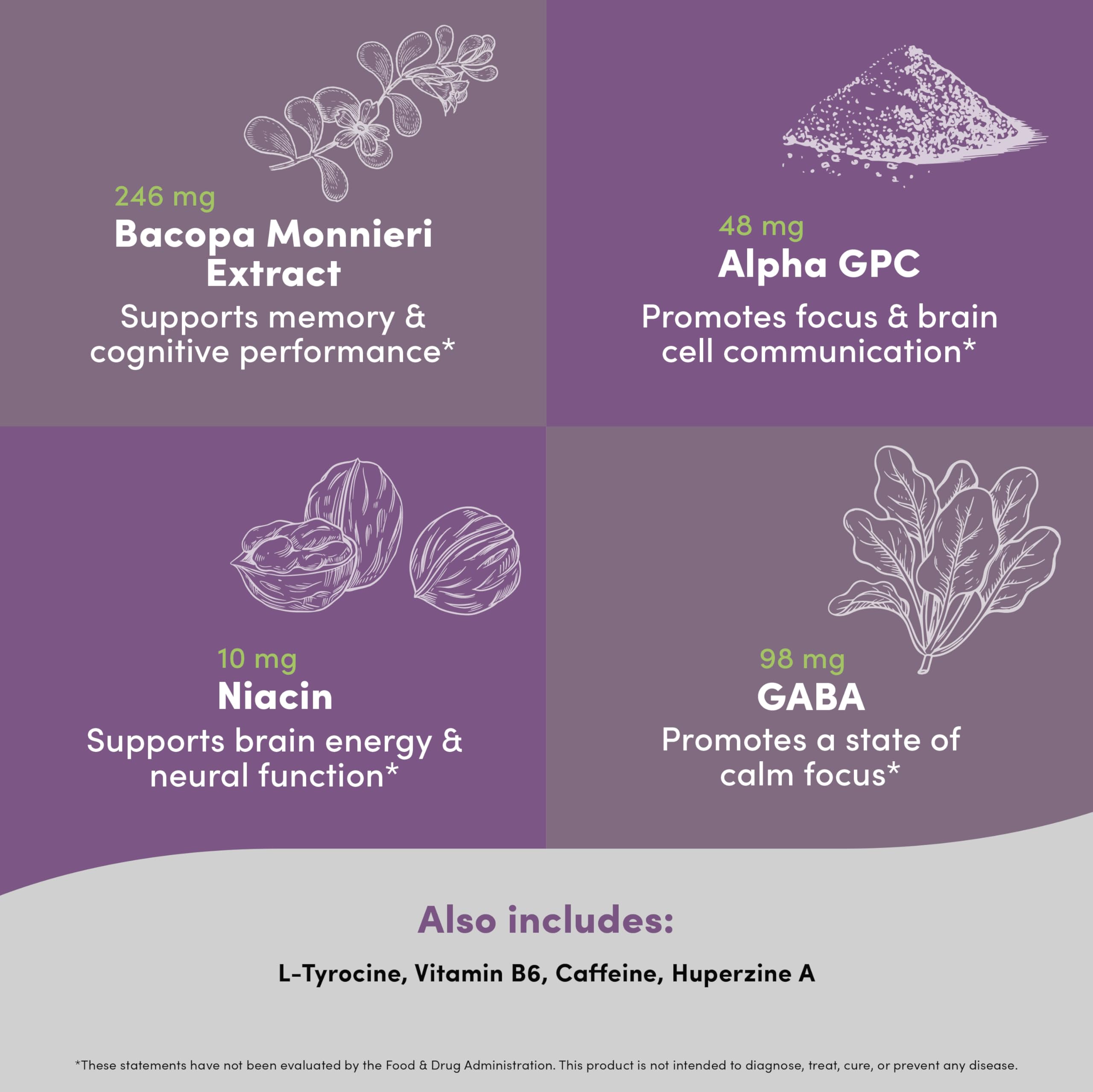 Café cercano a Brain Peak para enfoque sostenido durante la jornada.