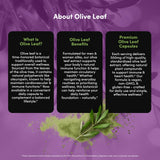 Vital Peak composición de ingredientes naturales para apoyo suave diario.