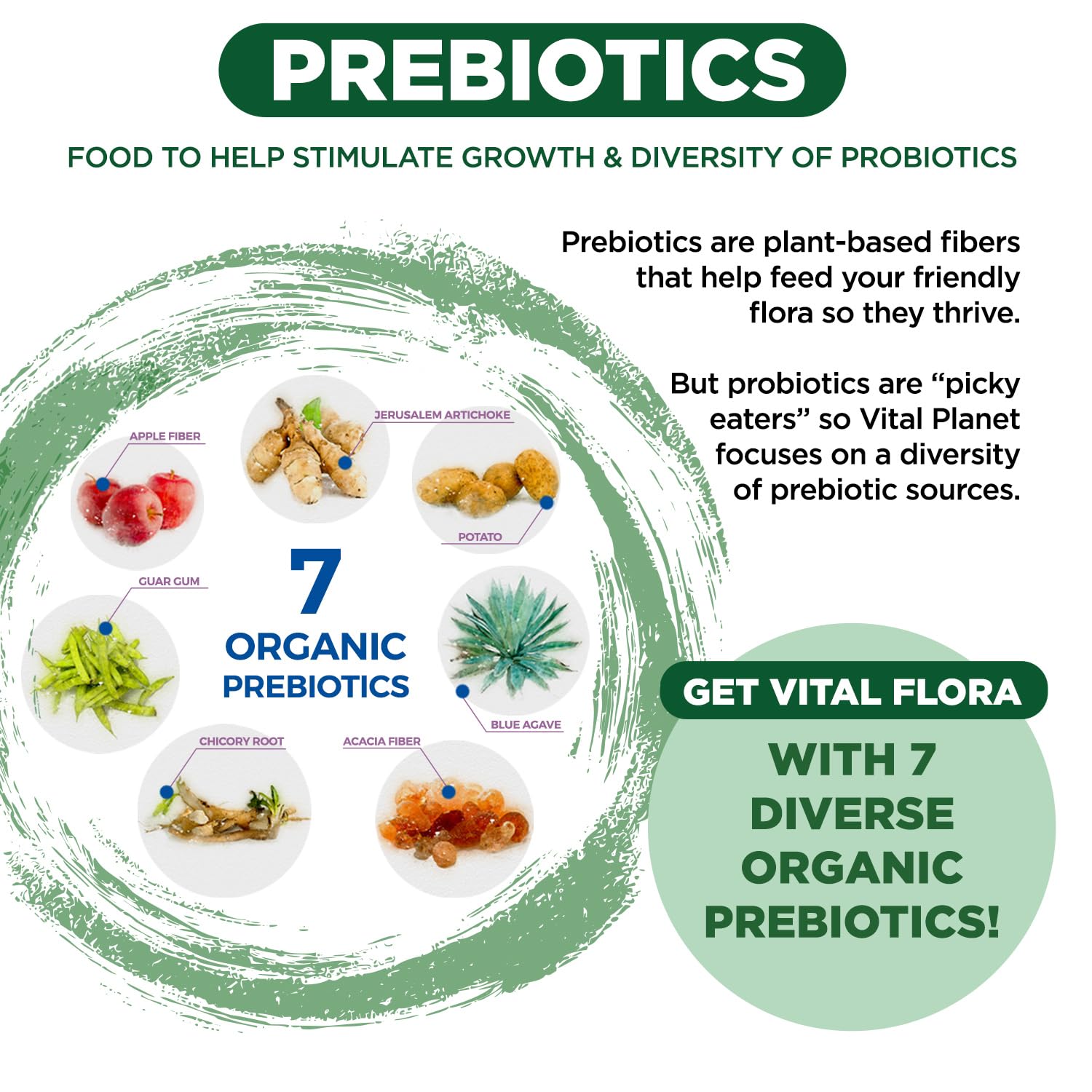Vital Flora 60-mil-millones: diversidad de cepas para soporte diario.