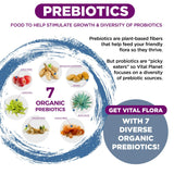 Vital Flora, dosis diaria para soporte digestivo.