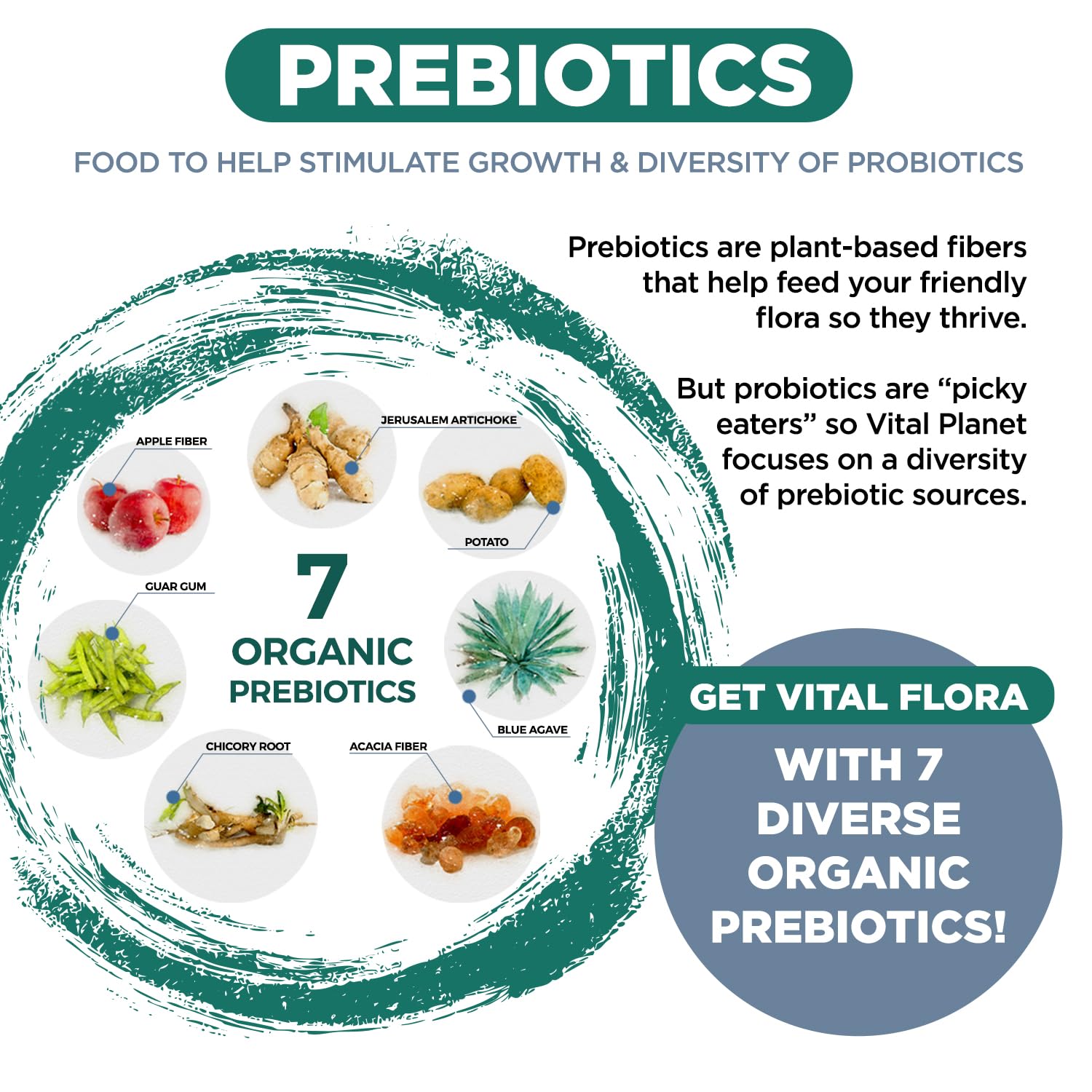 Vital Planet Vital Flora Immune: ingredientes orgánicos que inspiran confianza en la rutina diaria