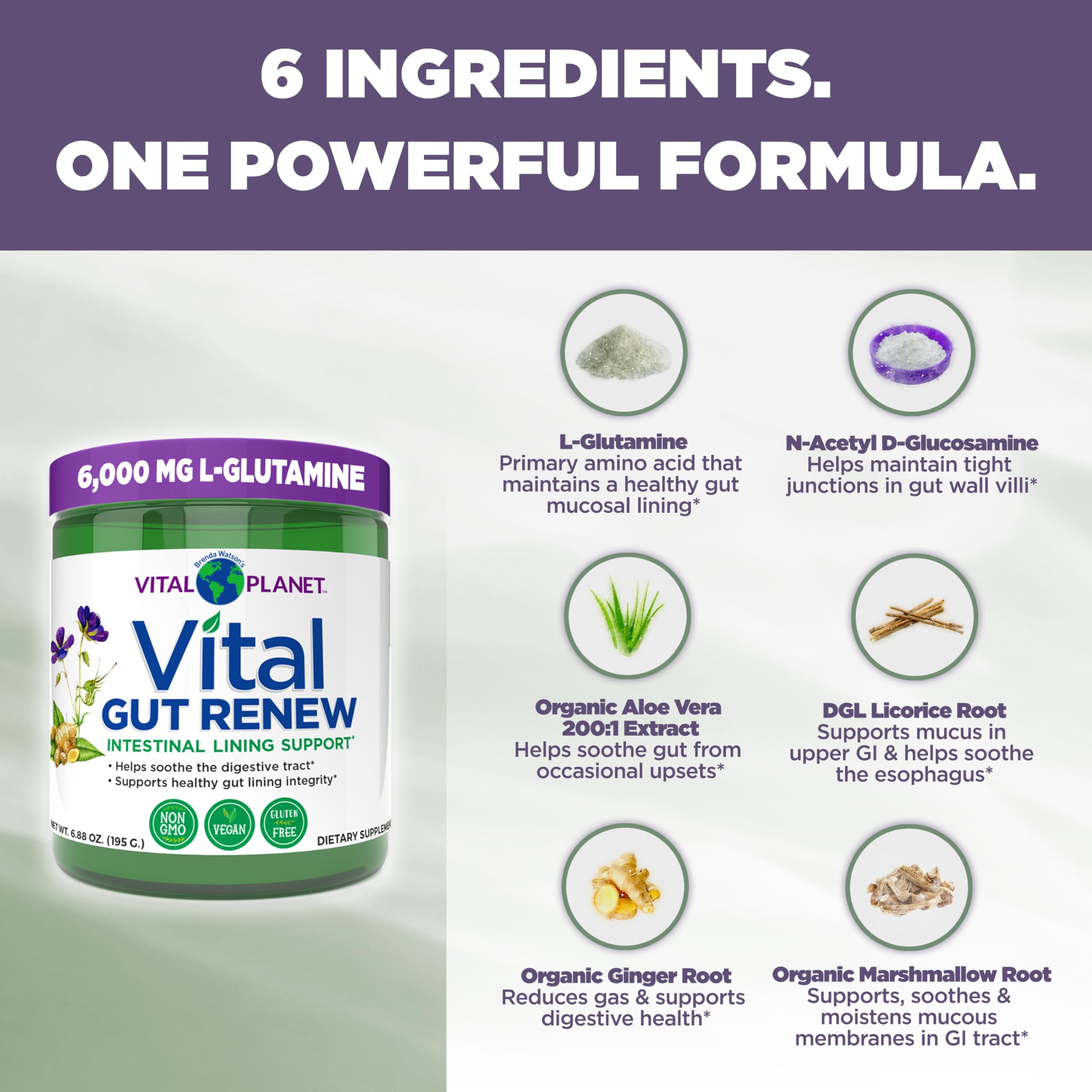 Vital Gut Renew polvo sin sabor para mezclar fácilmente con agua o batidos.