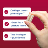 Cajas de 120 cápsulas de Vital Proteins Cartilage Collagen Pills