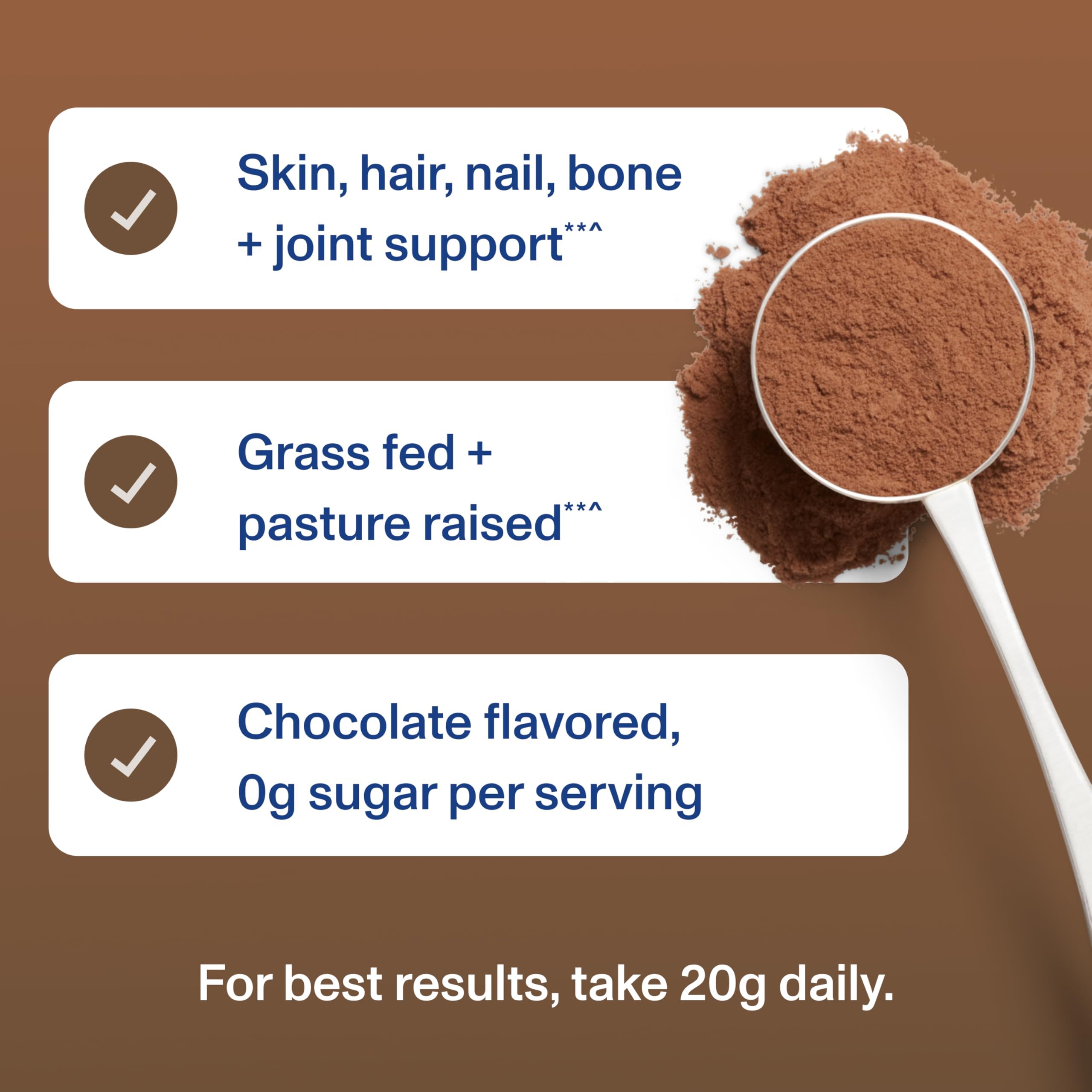 Vital Proteins Collagen Peptides Chocolate botella de repuesto facilita consumo continuo