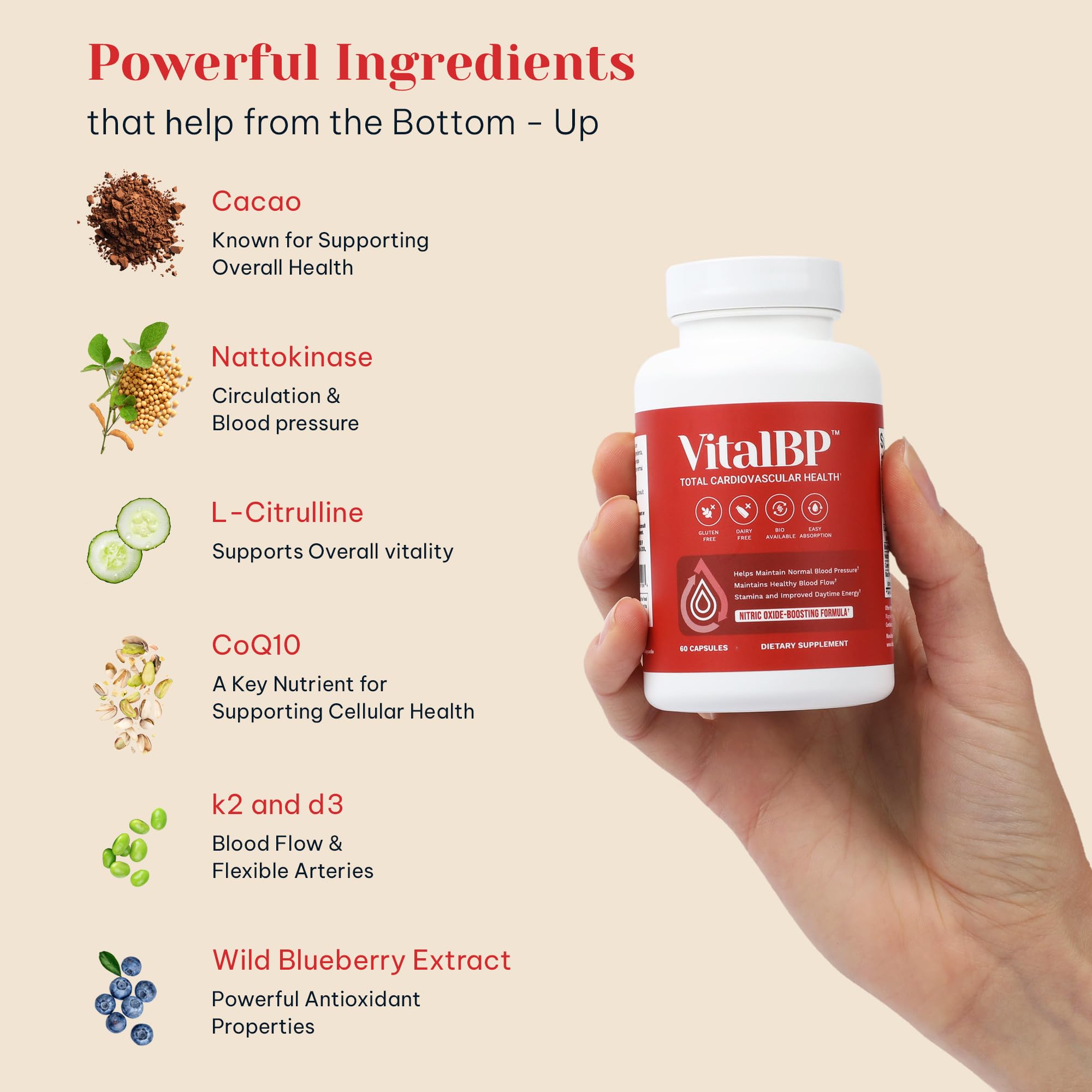 VitalBP nattokinase capsule supports daily circulation and overall wellness.