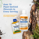 Vital Earth Minerals Detox, sabor suave para consumo diario.