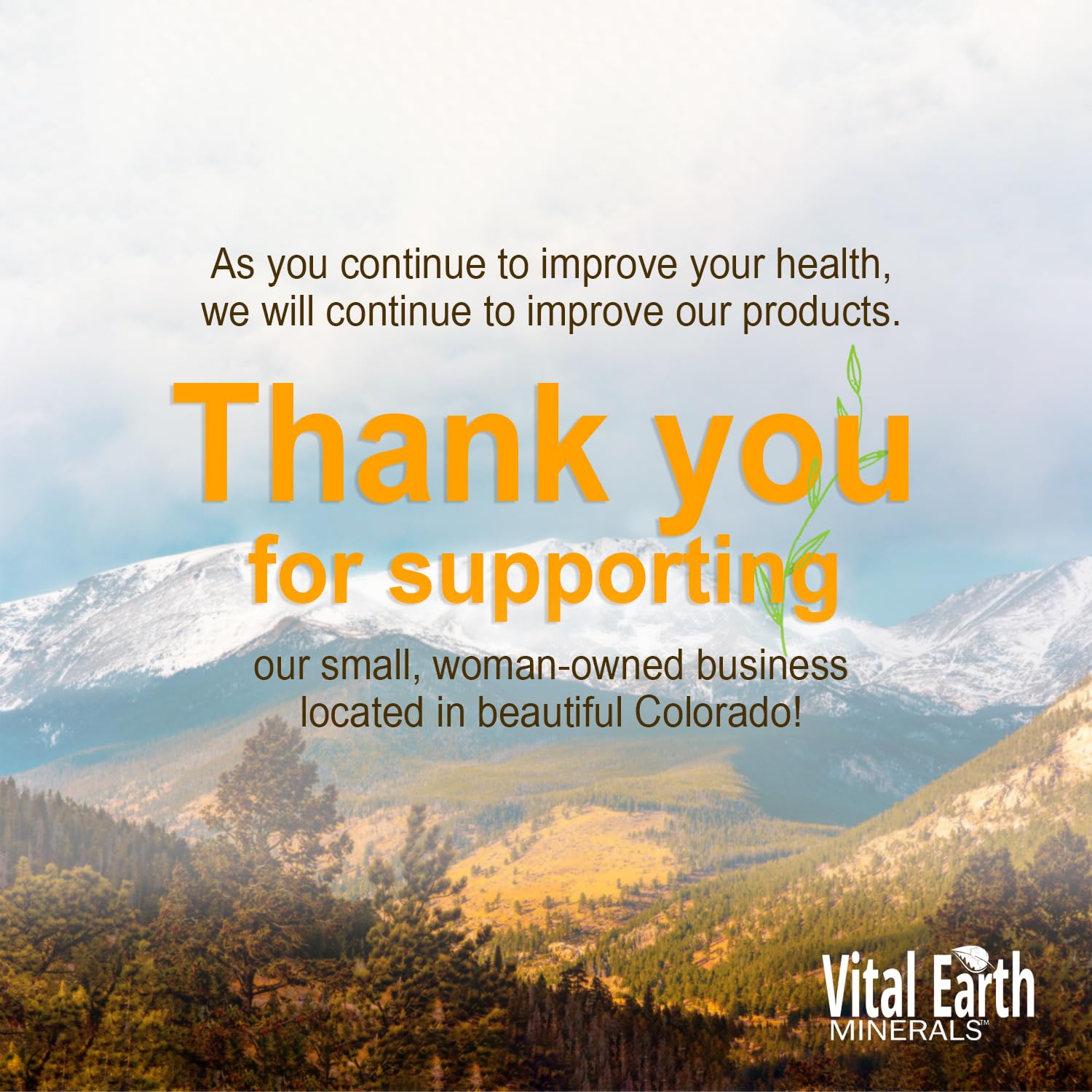 Vital Earth Minerals: botella de 32 onzas lista para uso sostenido.