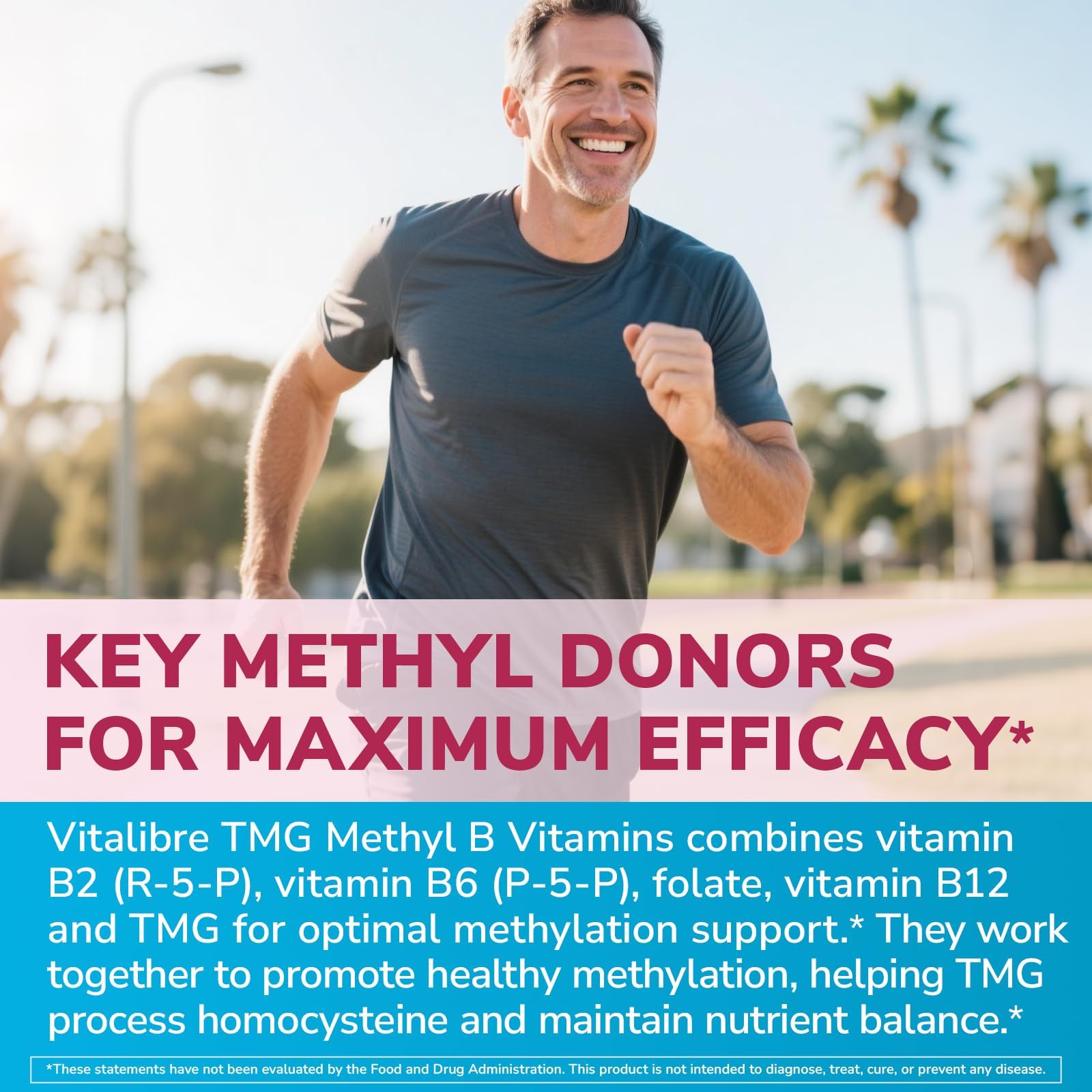 Vitalibre TMG palabras clave de ingredientes para absorción y bioactividad