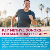 Vitalibre TMG palabras clave de ingredientes para absorción y bioactividad