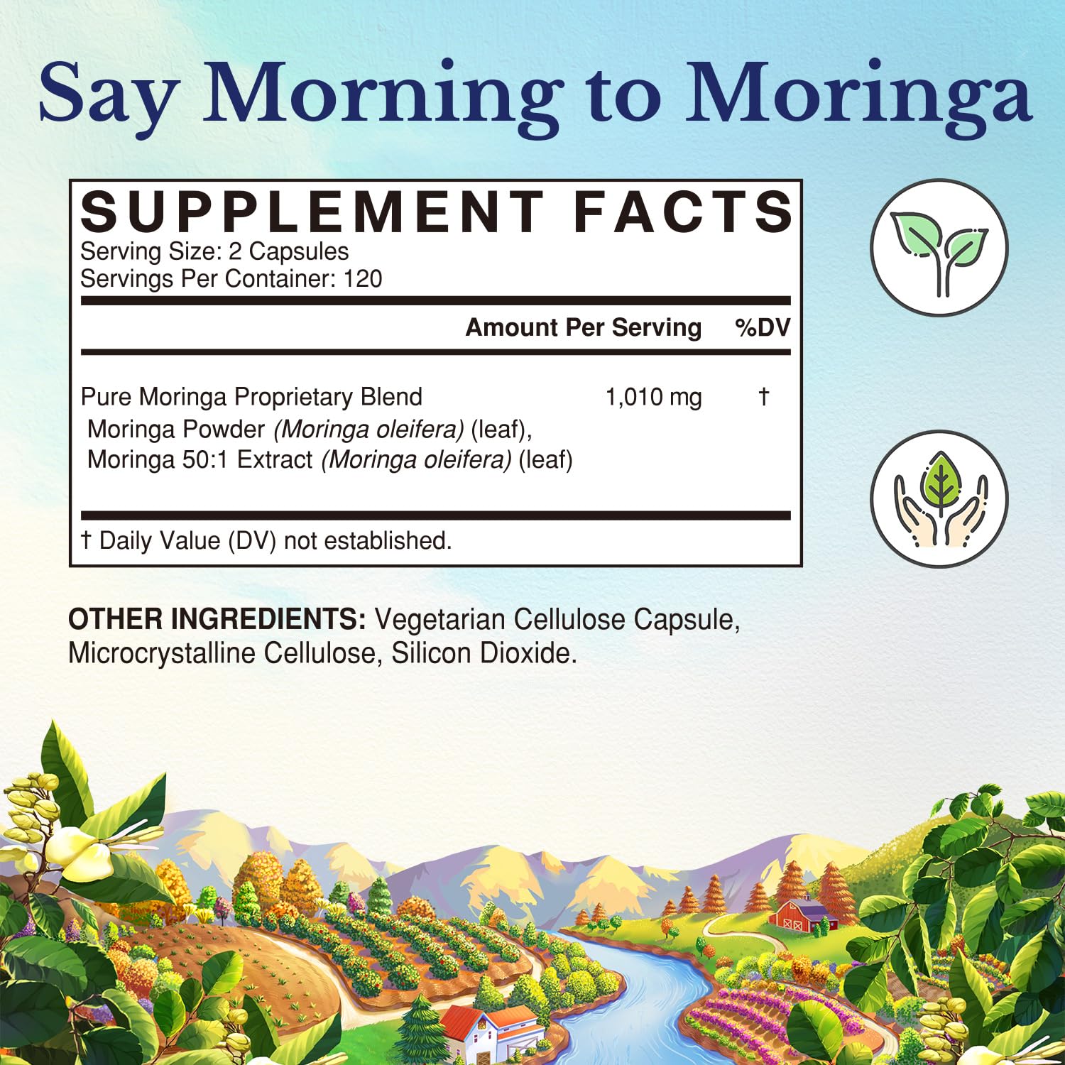 Vitalitown Moringa cápsulas, etiqueta clara para uso diario