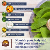 Vitalitown extracto moringa 50:1, alta concentración