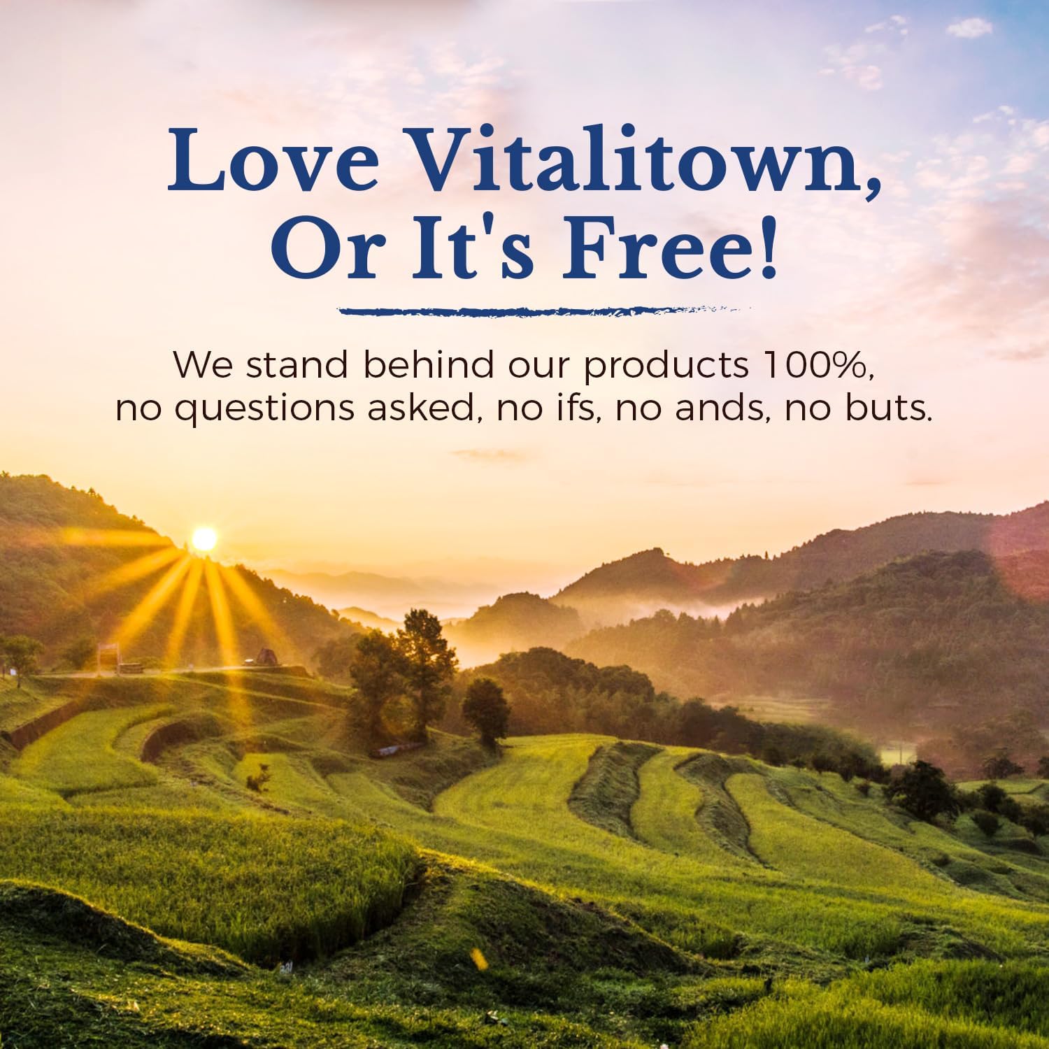 Vitalitown Probiotics: uso diario para confort intestinal