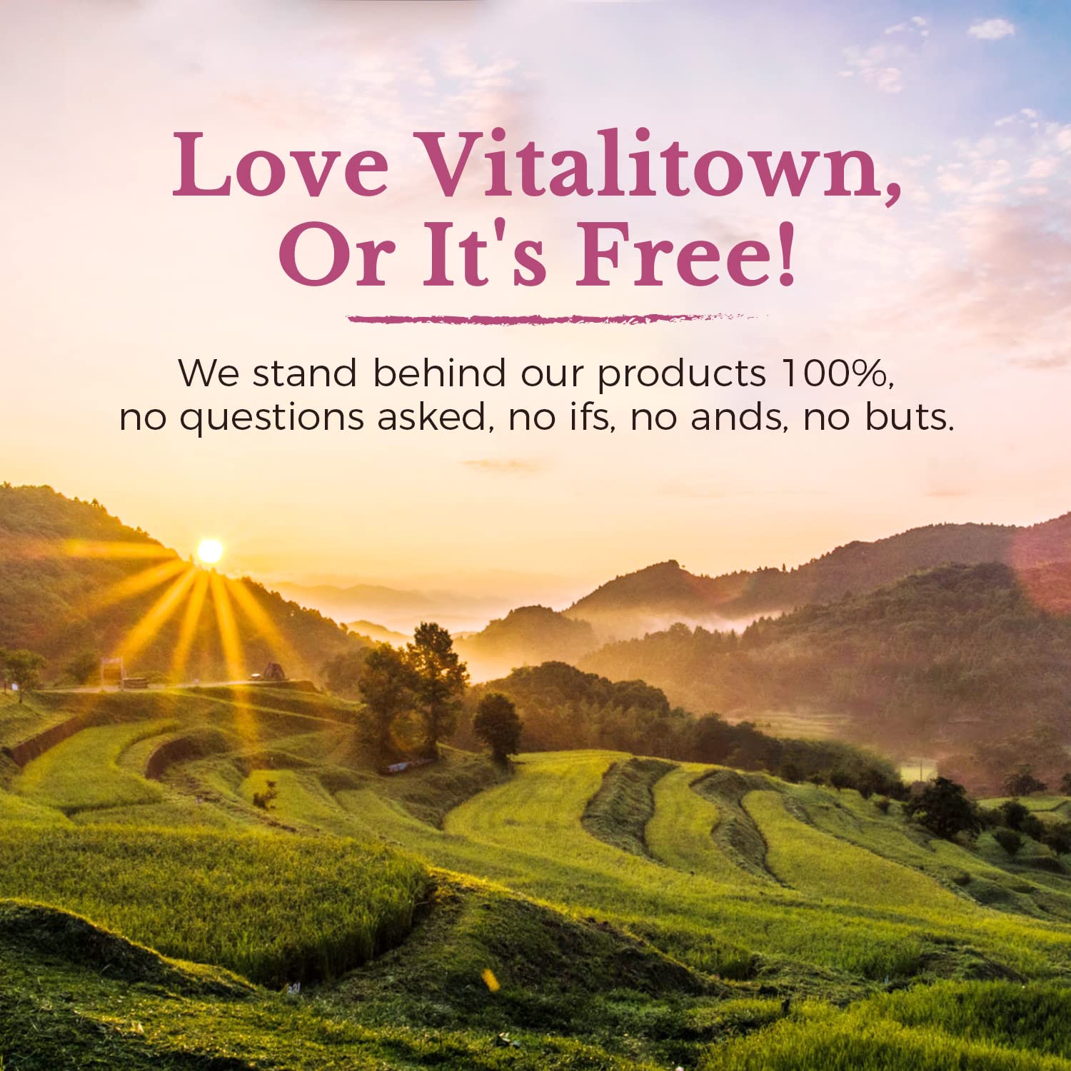 Sello de calidad en Vitalitown Probiotics para estabilidad y pureza