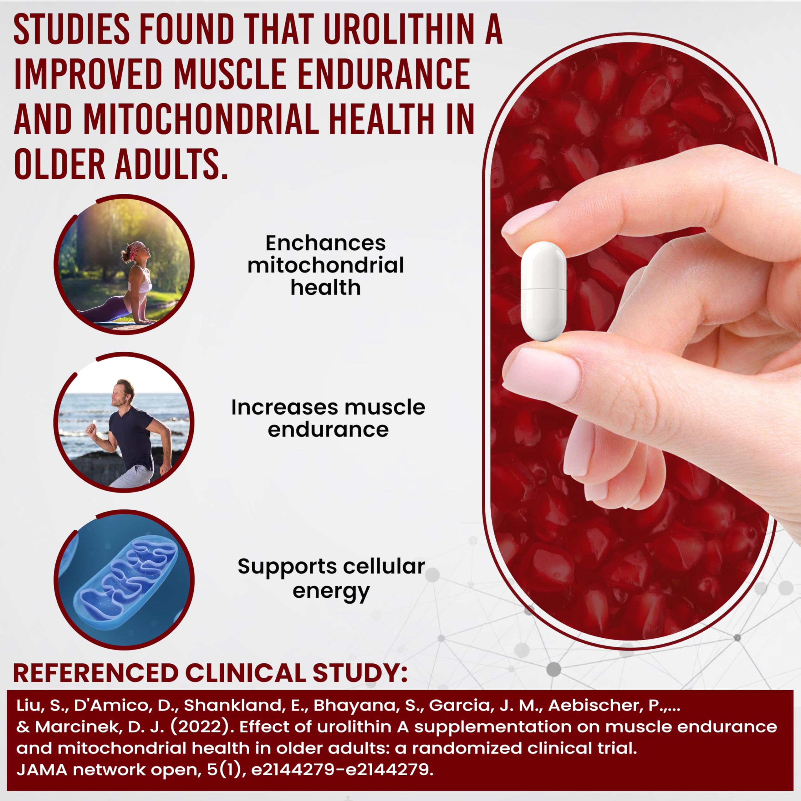 Vitalpha Urolitina A: etiqueta detallada mostrando beneficios y uso