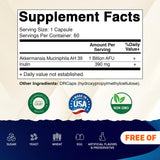 Vitamatic Akkermansia muciniphila envase frontal, tamaño práctico para uso diario.
