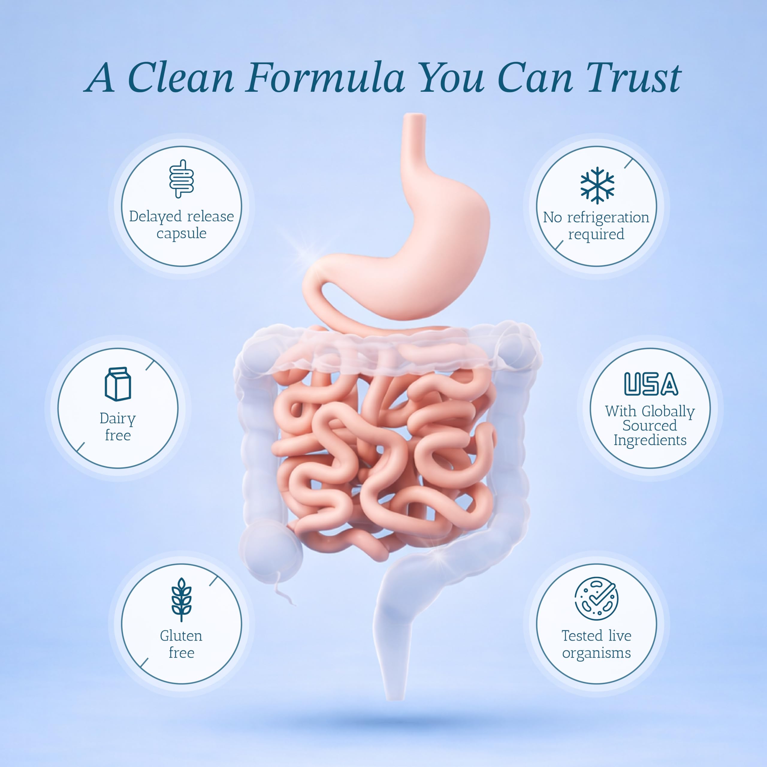 Dos cápsulas de Vitamin Bounty Pro-50 para dosis diaria recomendada.
