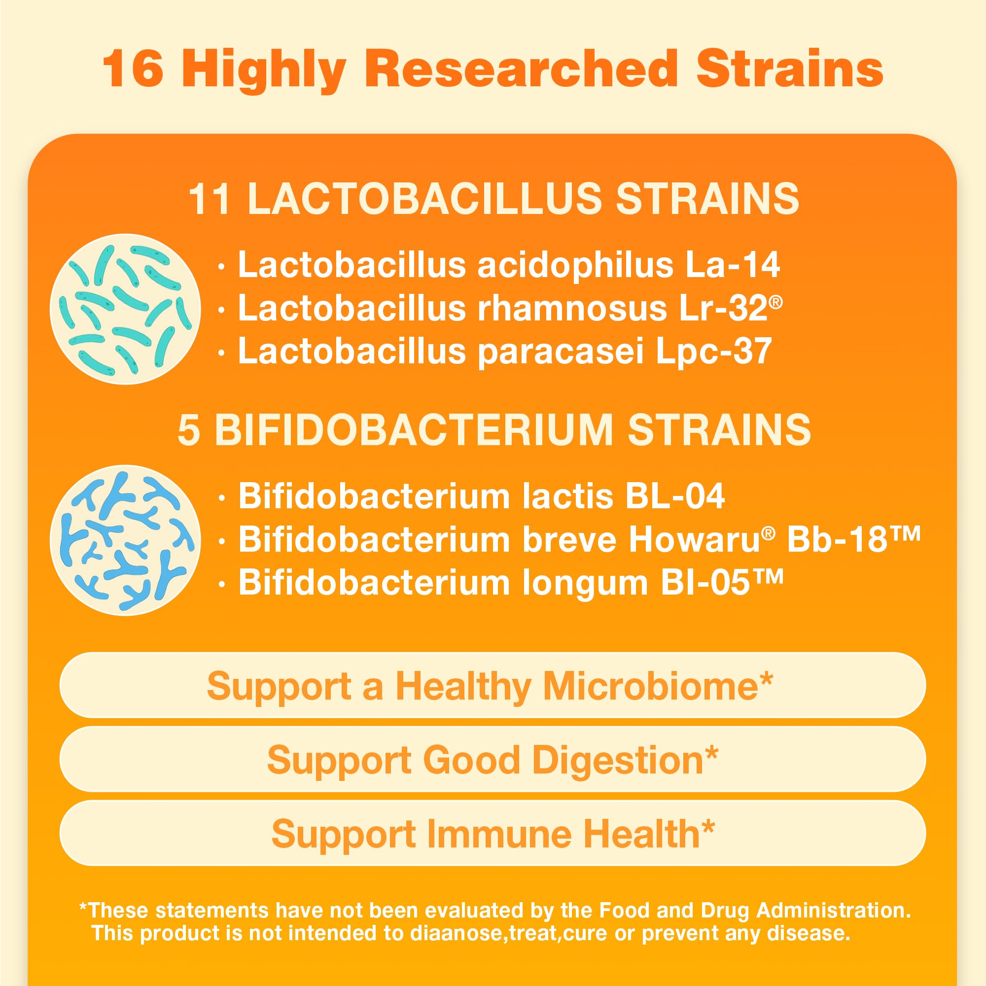 Mezcla de 16 cepas para equilibrio intestinal