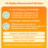 Mezcla de 16 cepas para equilibrio intestinal