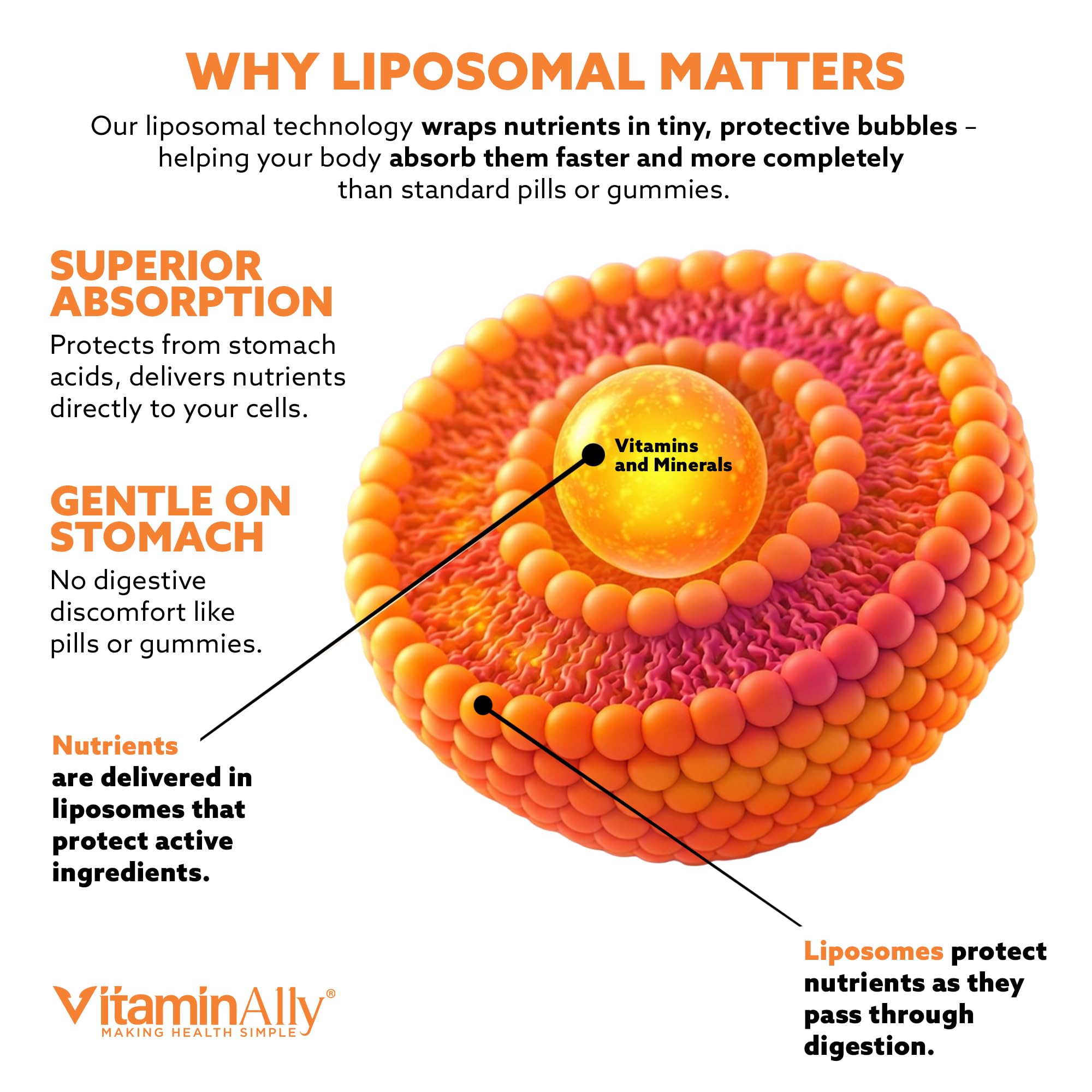 Vitaminally 30 porciones listas para uso diario.