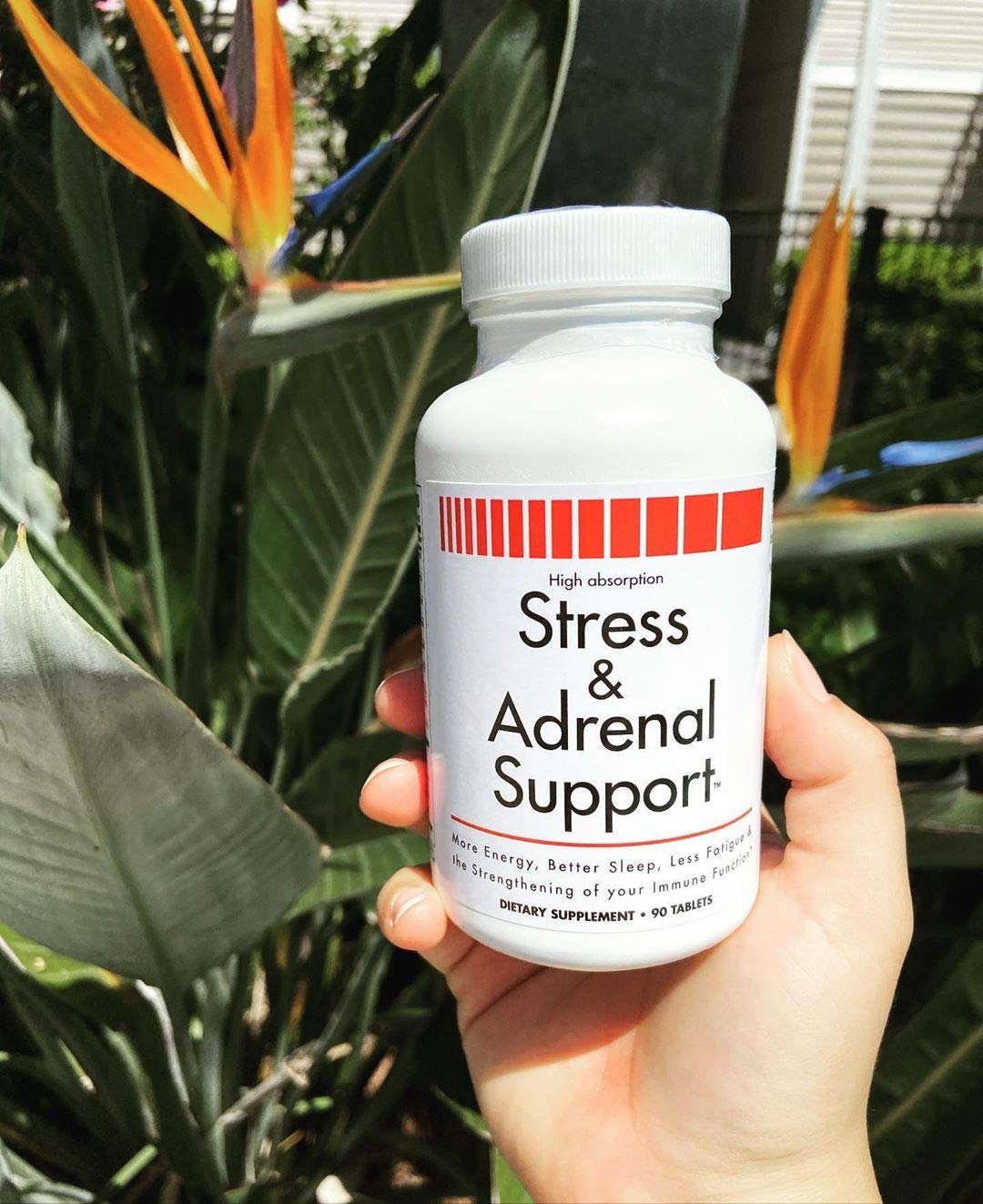 Adaptogenos de VitaminMed: romero y echinacea para mejorar la resistencia diaria