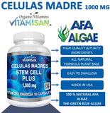Vitamisan Células Madre cápsulas fáciles de tragar con agua.