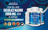Vitamisan Células Madre almacenamiento compacto y ordenado.