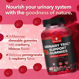 Caja externa de Vitamized, empaque natural para salud urinaria.