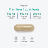 Vitanica VasoBlend: arjuna, hierba tradicional para el cuidado cardiovascular.