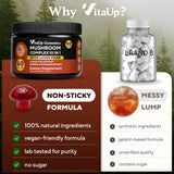 VitaUp reishi, cápsulas para equilibrio e inmunidad