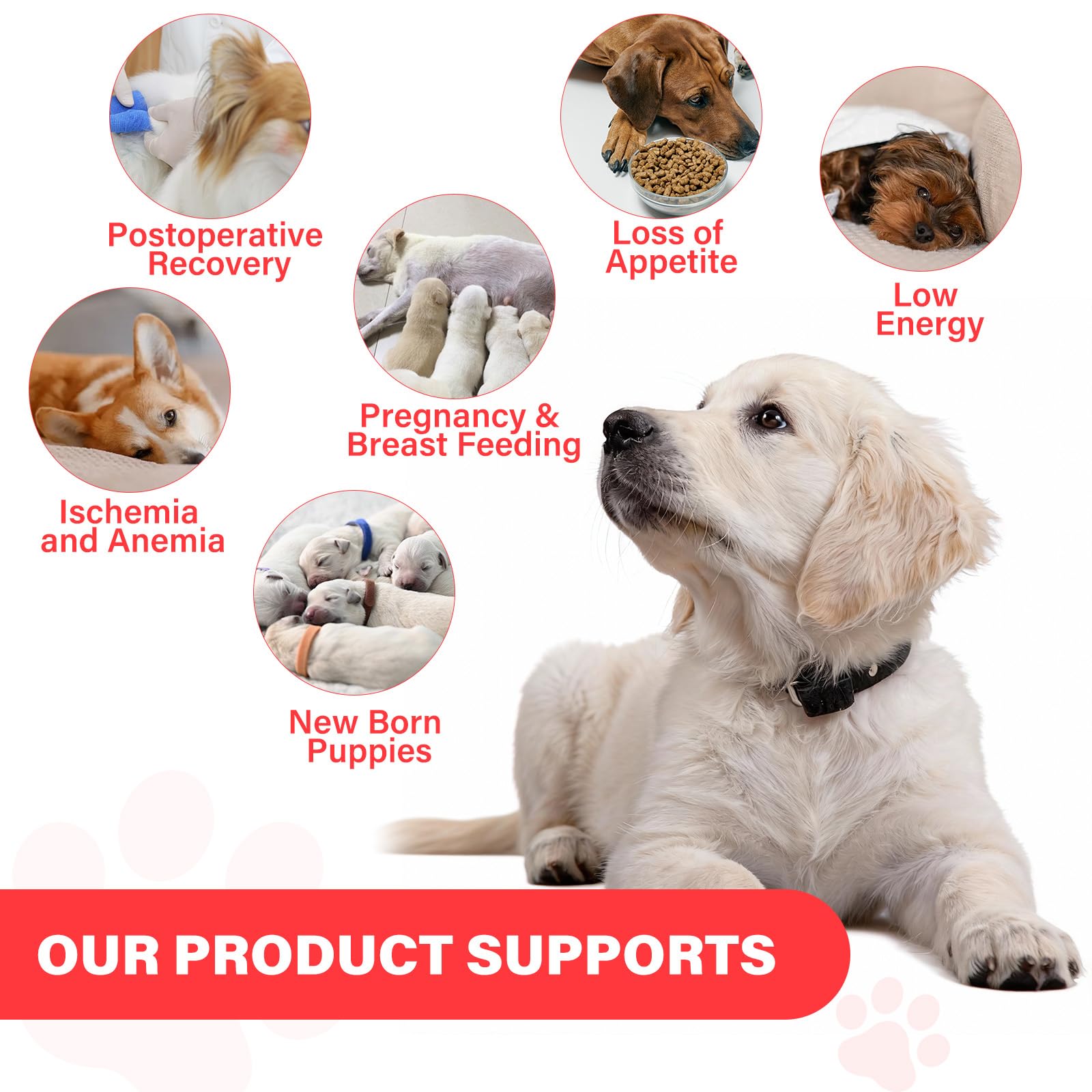 VivaElixir Hierro para perros, dosis diaria fácil de administrar para dueños ocupados.