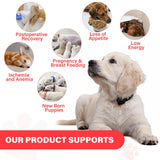 VivaElixir Hierro para perros, dosis diaria fácil de administrar para dueños ocupados.