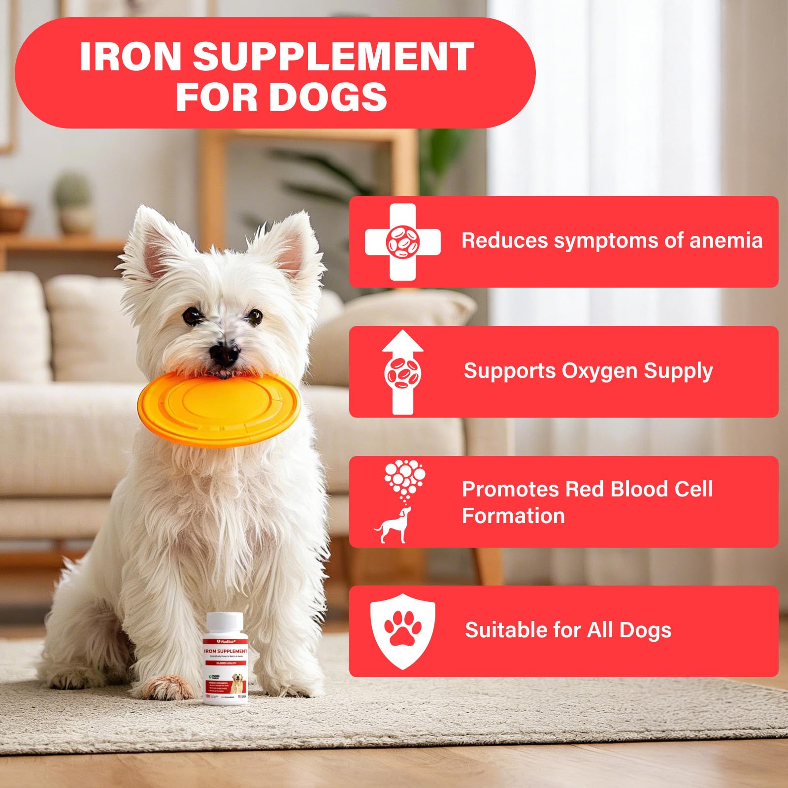 VivaElixir Hierro para perros, etiqueta detallada con información nutricional beneficiosa.