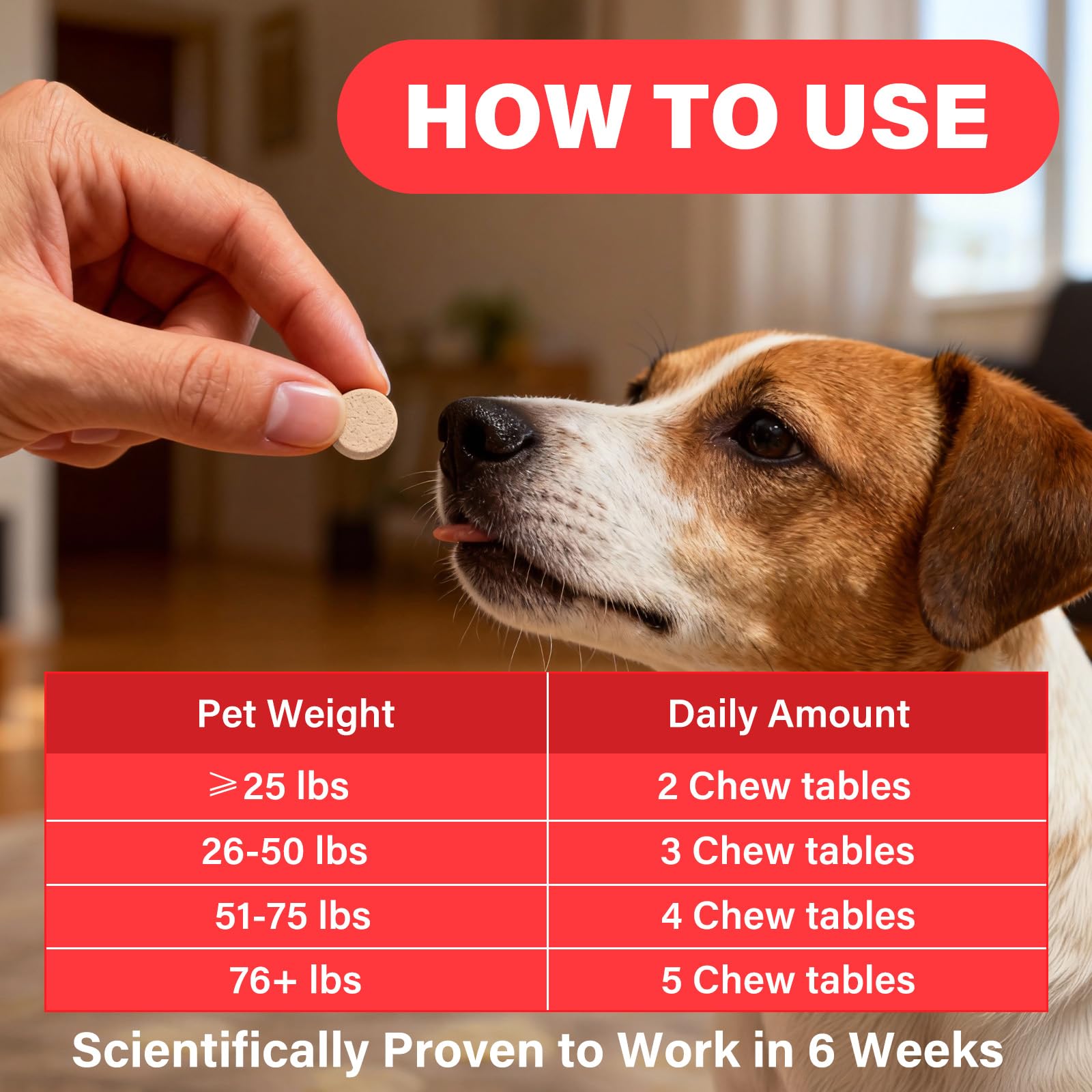 VivaElixir Hierro para perros, ingredientes clave como B12 y folato para apoyo nutricional.