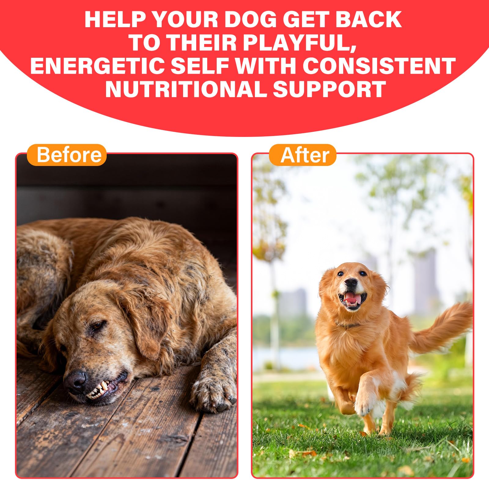 VivaElixir Hierro para perros, sabor suave que facilita la toma diaria.