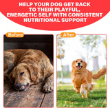 VivaElixir Hierro para perros, sabor suave que facilita la toma diaria.
