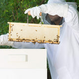 VIVO BEE-V105M ajuste-mediano que permite libertad de movimiento